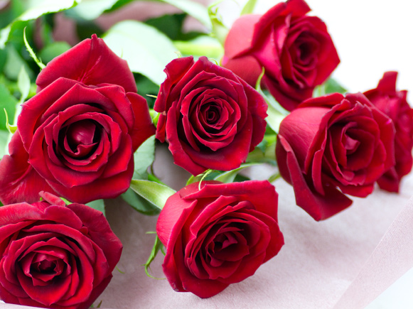赤いバラの花束はこちら 卒業式 母の日 誕生日 ホワイトデーのお返しに 可愛い花を